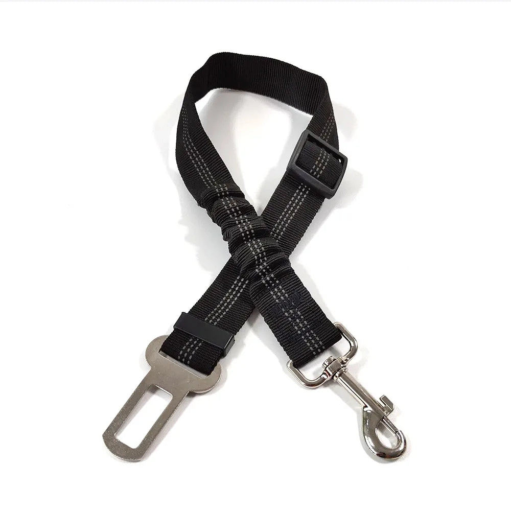 Bezpečnostní pás do auta pro psy – Cestujte bezpečně! 🚗