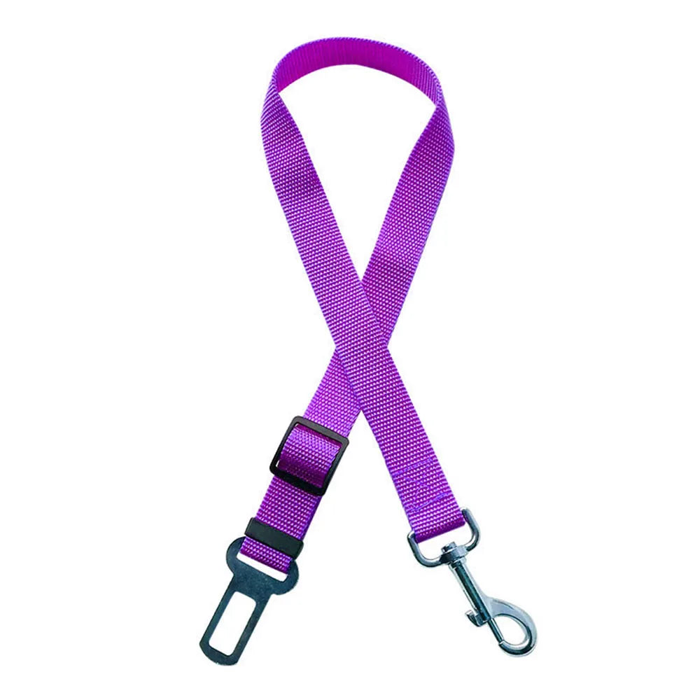 Bezpečnostní pás do auta pro psy – Cestujte bezpečně! 🚗