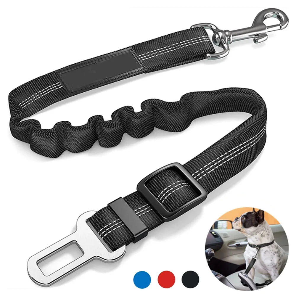 Bezpečnostní pás do auta pro psy – Cestujte bezpečně! 🚗