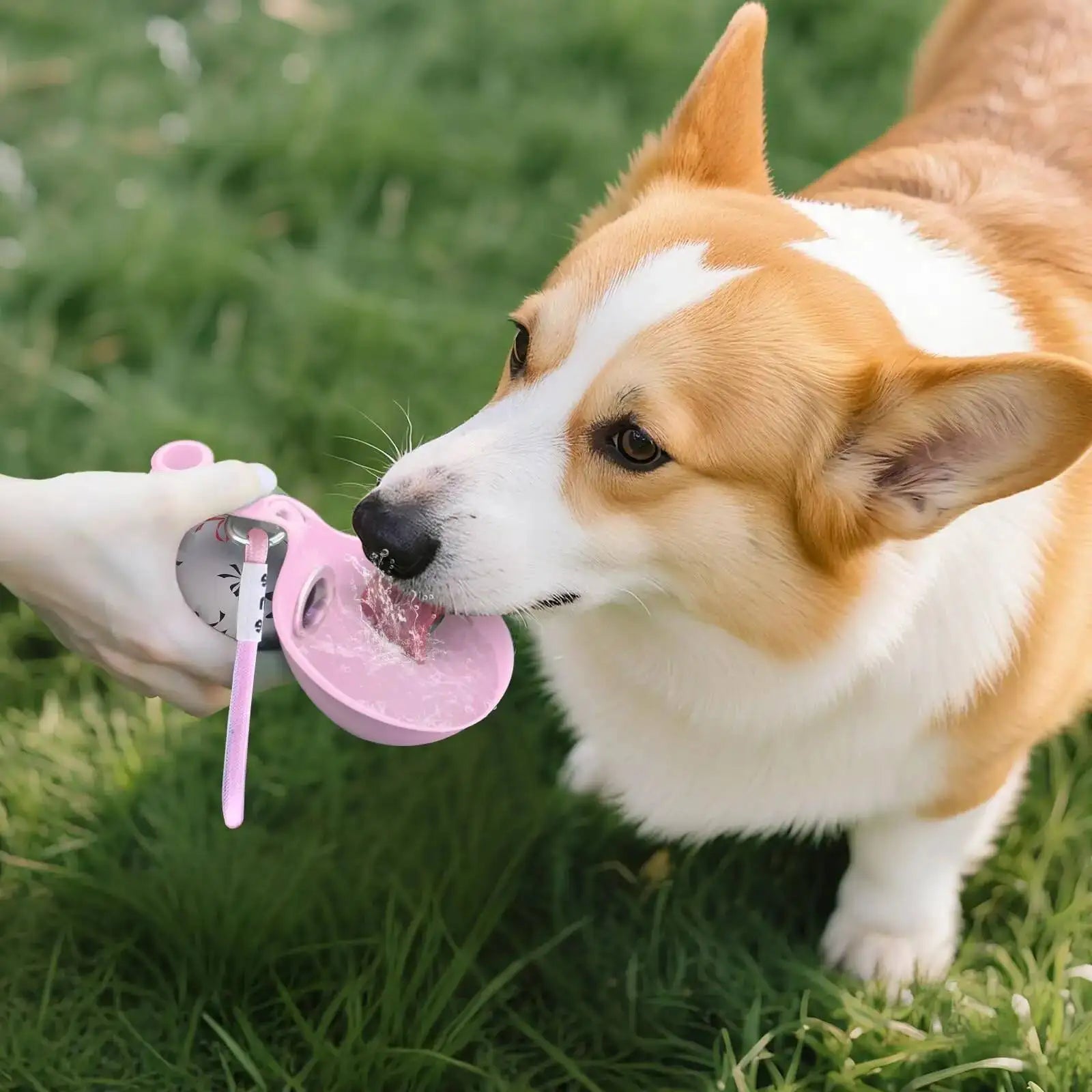 Přenosná láhev na vodu pro psy a kočky – 🐾 Ideální pro každé dobrodružství!