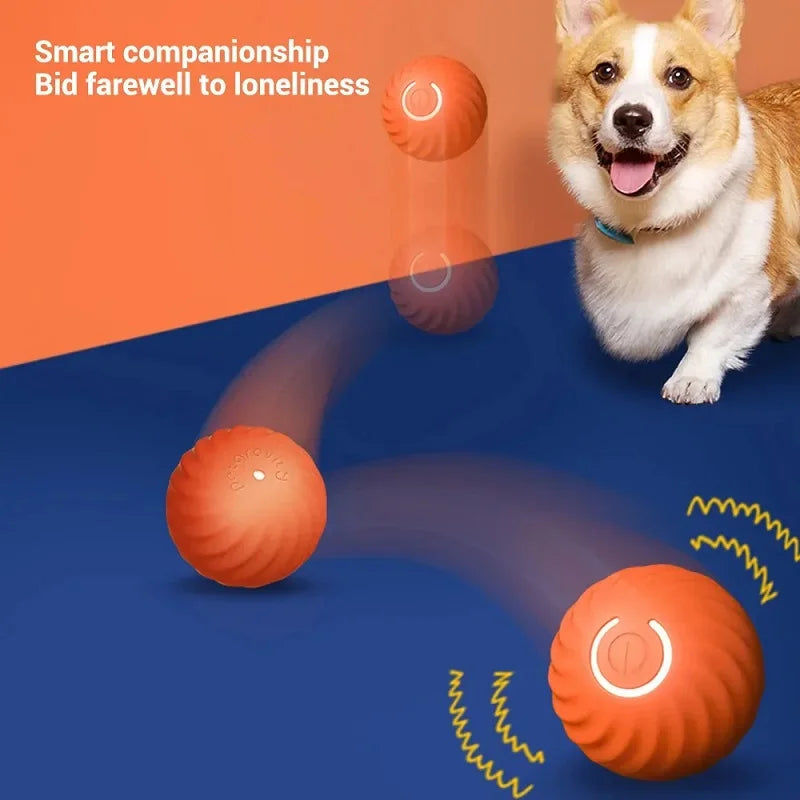 Interaktivní chytrý míček pro psy a kočky – Zábava, která nekončí! 🎾