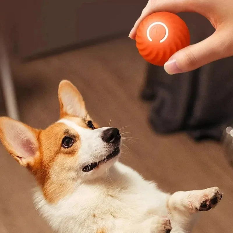 Interaktivní chytrý míček pro psy a kočky – Zábava, která nekončí! 🎾